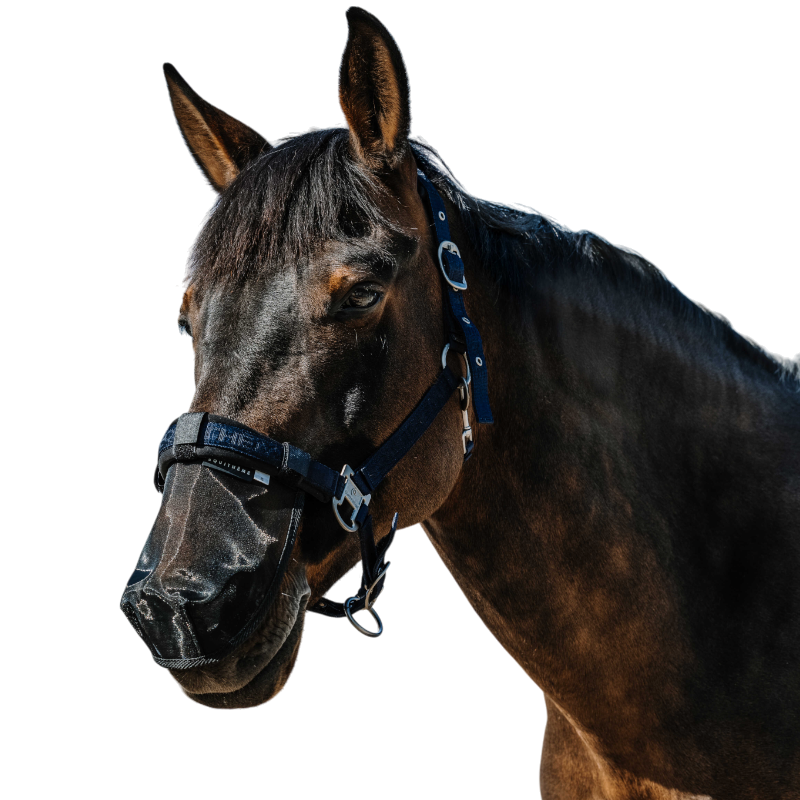 Equithème - Protection de nez anti UV noir
