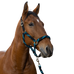 Equithème - Gevlochten halster en leilijn turquoise/marine/zwart | - Ohlala