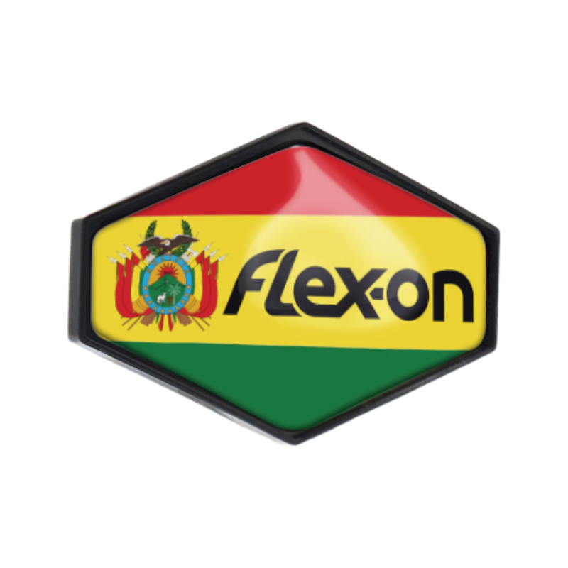 Flex On - Sticker casque Armet Bolivie | - Ohlala