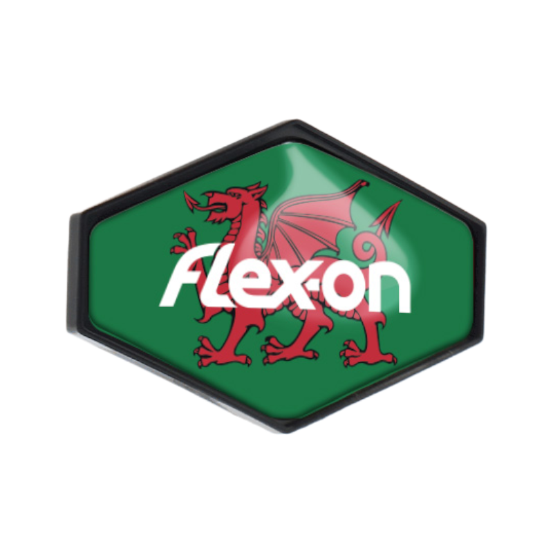 Flex On - Sticker casque Armet Pays de Galles | - Ohlala