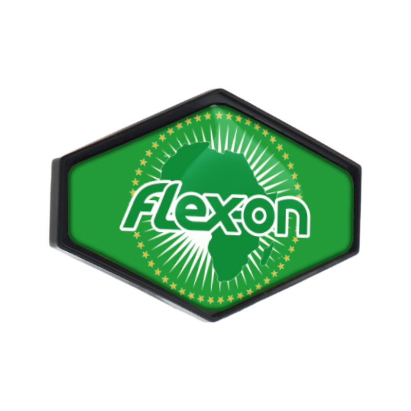 Flex On - Sticker casque Armet Union Africaine | - Ohlala