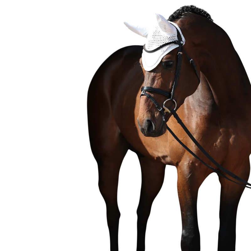 Bucas - Bonnet pour chevaux Fly blanc