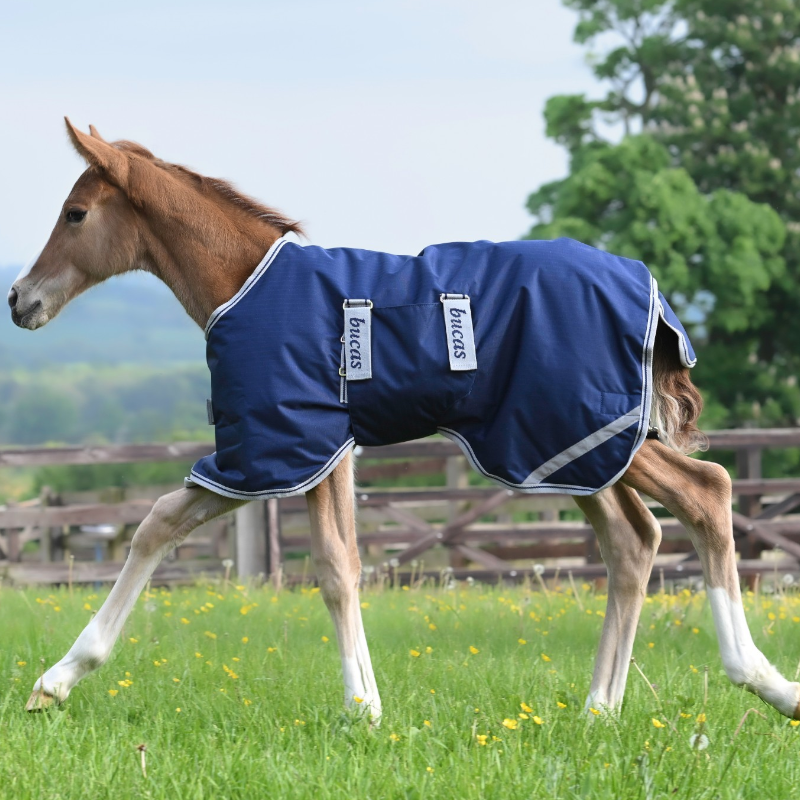Bucas - Couverture d'extérieur Foal Turnout 50 marine/ silver 50g