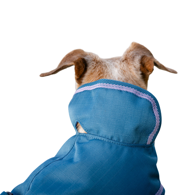 Bucas - Couverture pour chien Freedom blueberry 300g