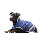 Bucas - Couverture pour chien Freedom marine/ silver
