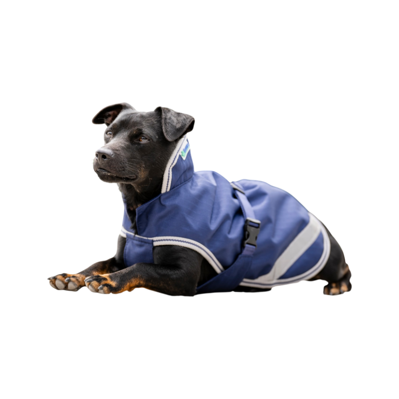 Bucas - Couverture pour chien Freedom marine/ silver 150g