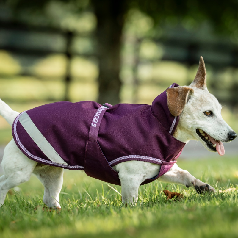 Bucas - Couverture pour chien Freedom blackberry
