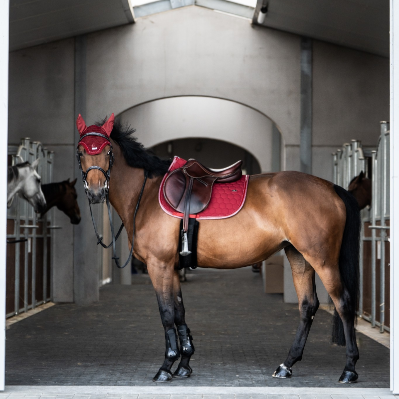 GEM - Tapis de selle Atlas cerise