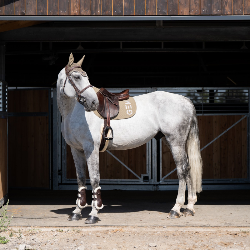 GEM - Tapis de selle Ten latte