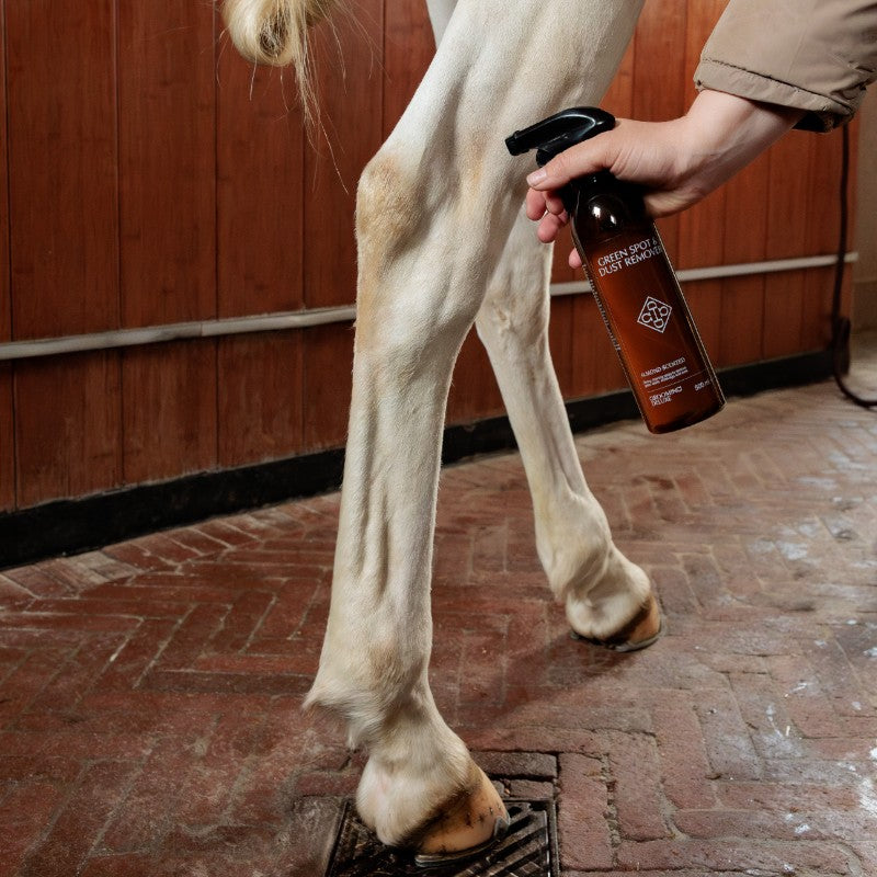 Grooming Deluxe - Spay détachant sans rinçage à l'amande