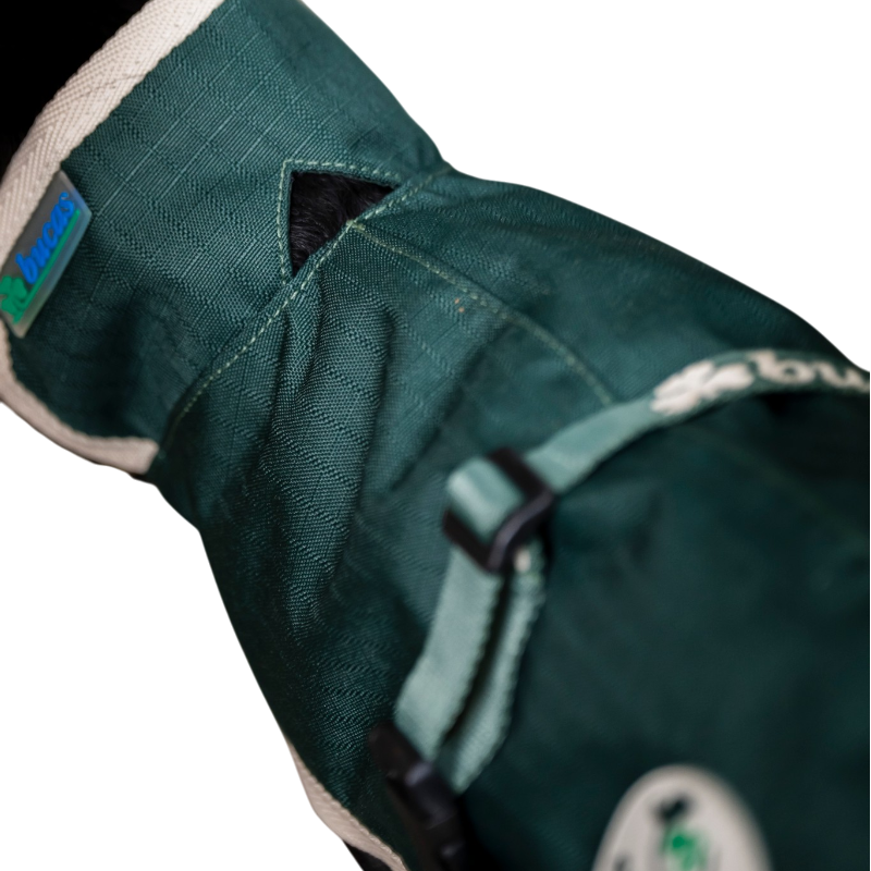 Bucas - Couverture pour chien Greenline vert/ crème