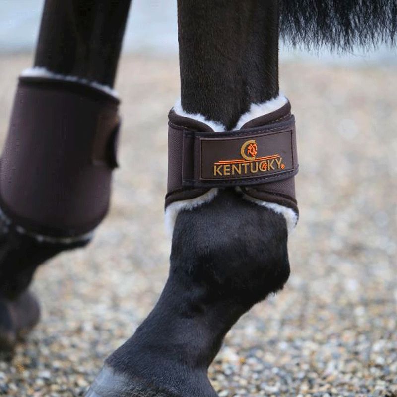 Kentucky Horsewear - Protège-boulets Solimbra marron | - Ohlala
