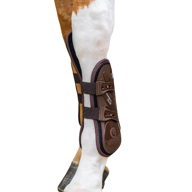 Kentucky Horsewear - Guêtres Elastic protection genoux marron | - Ohlala