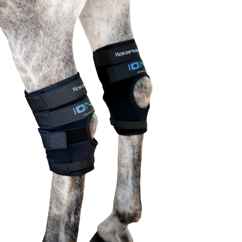 Horseware - Iconic kniebeschermers zwart | - Ohlala