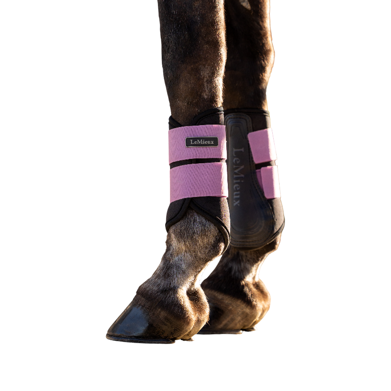 LeMieux - Air-Tek Grafter gesloten beenbeschermers mallow | - Ohlala