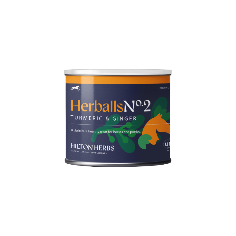 Hilton Herbs - Friandises pour chevaux naturelles Herballs N°2 curcuma/ gingembre
