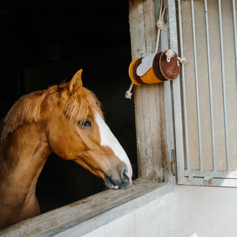 Hippotonic - Paardenspelletje Gele Bij