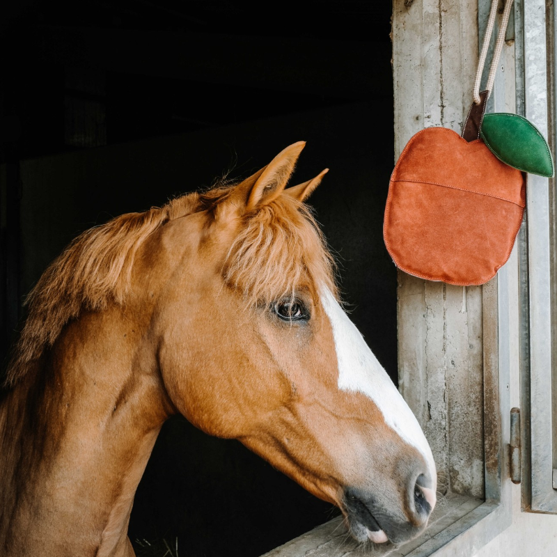 Hippotonic - Paardenspelletje Rode Appel