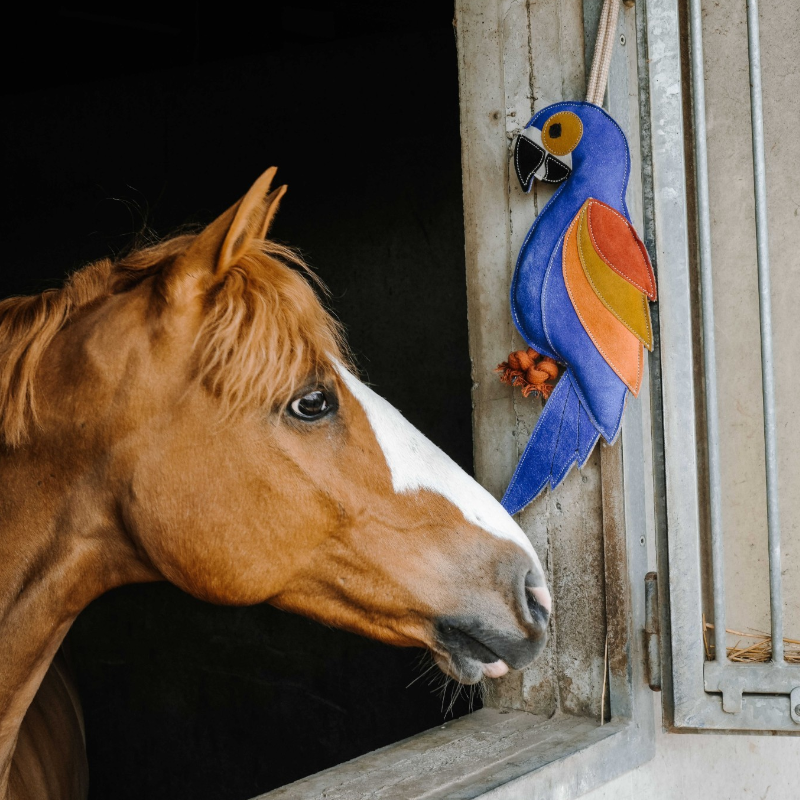 Hippotonic - Jouet pour chevaux Perroquet bleu