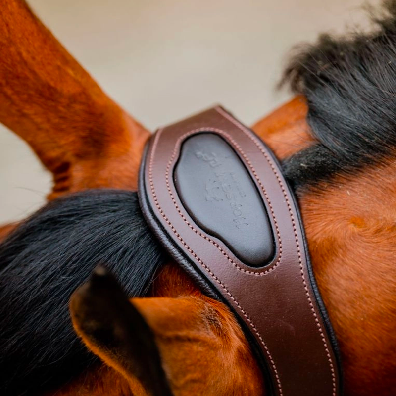 Horseware - Licol pour chevaux Signature Tressé marron/ marine/ hunter green | - Ohlala