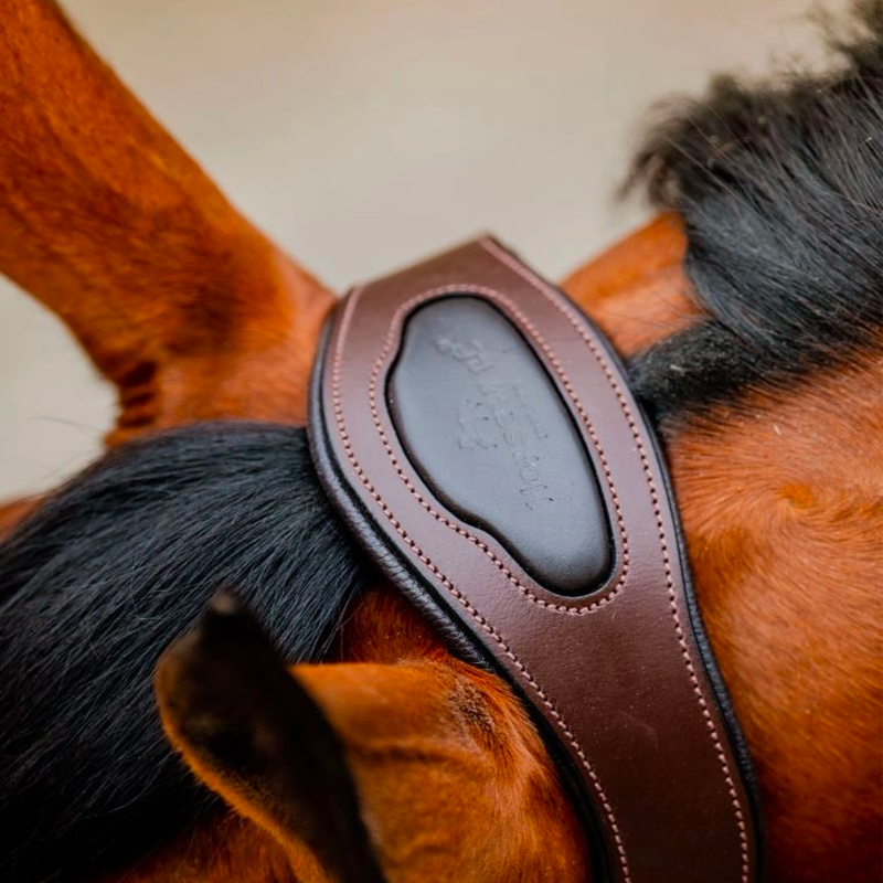 Horseware - Licol pour chevaux Signature Tressé marron/ marine/ blue haze | - Ohlala