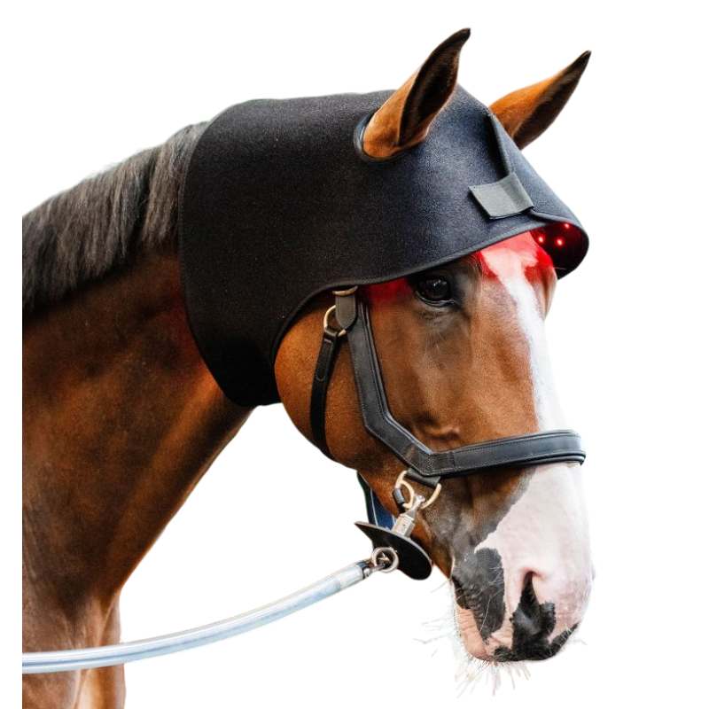 Horseware - Bonnet thérapeutique lumière rouge LED | - Ohlala