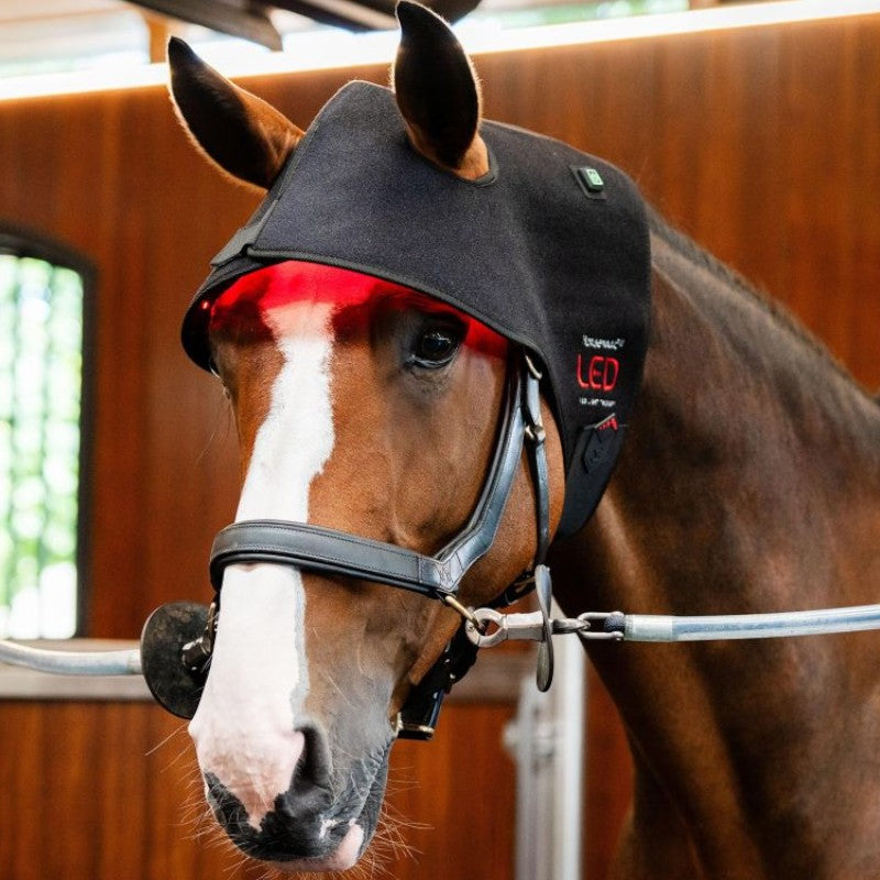 Horseware - Therapeutisch LED roodlicht hoofdkapje | - Ohlala