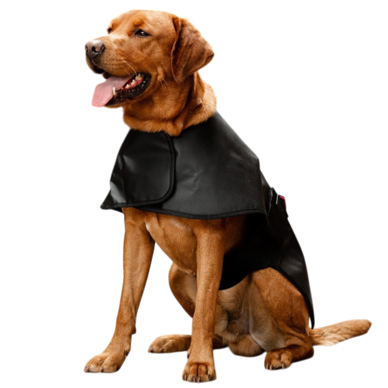 Horseware - Couverture pour chien thérapeutique lumière rouge LED | - Ohlala