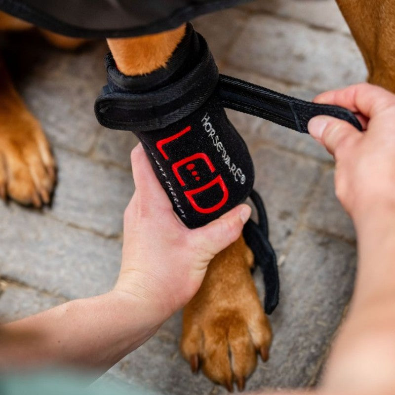 Horseware - Guêtres thérapeutiques pour chien Lumière rouge LED | - Ohlala