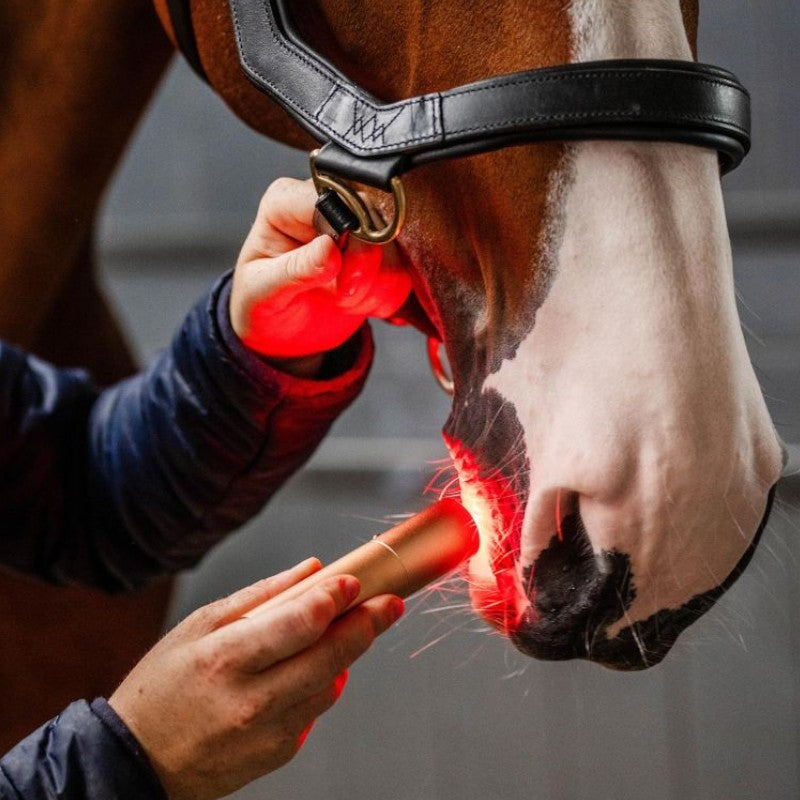 Horseware - Lampe thérapie lumière rouge LED | - Ohlala