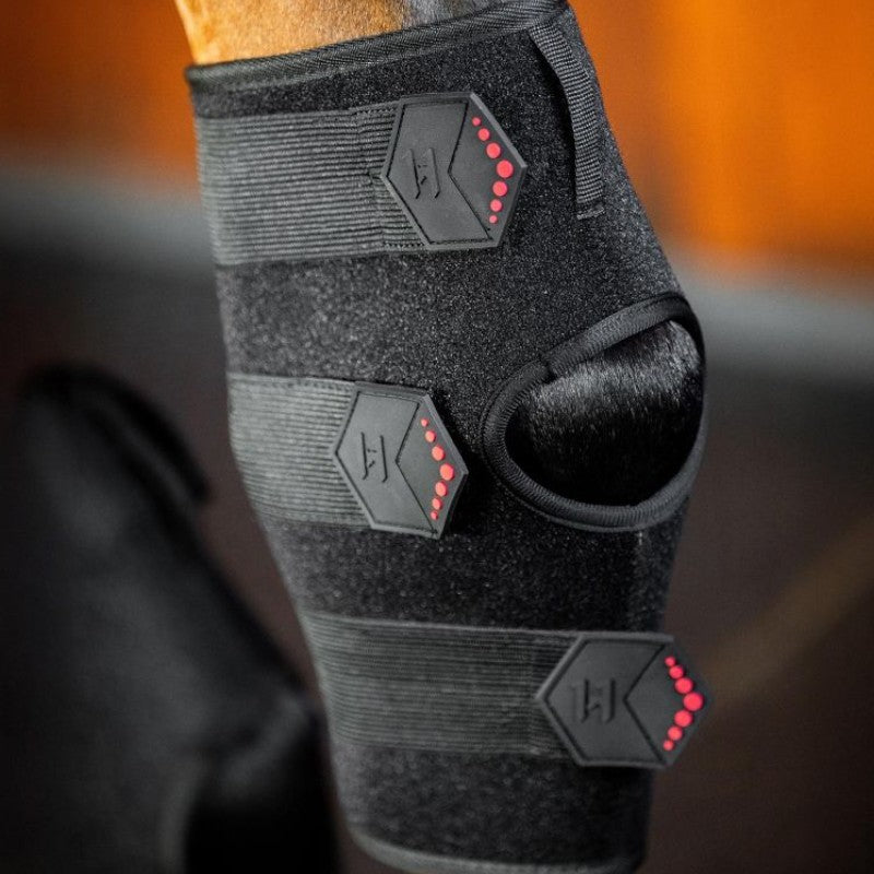 Horseware - Protège-jarret thérapeutique lumière rouge LED (x1) | - Ohlala