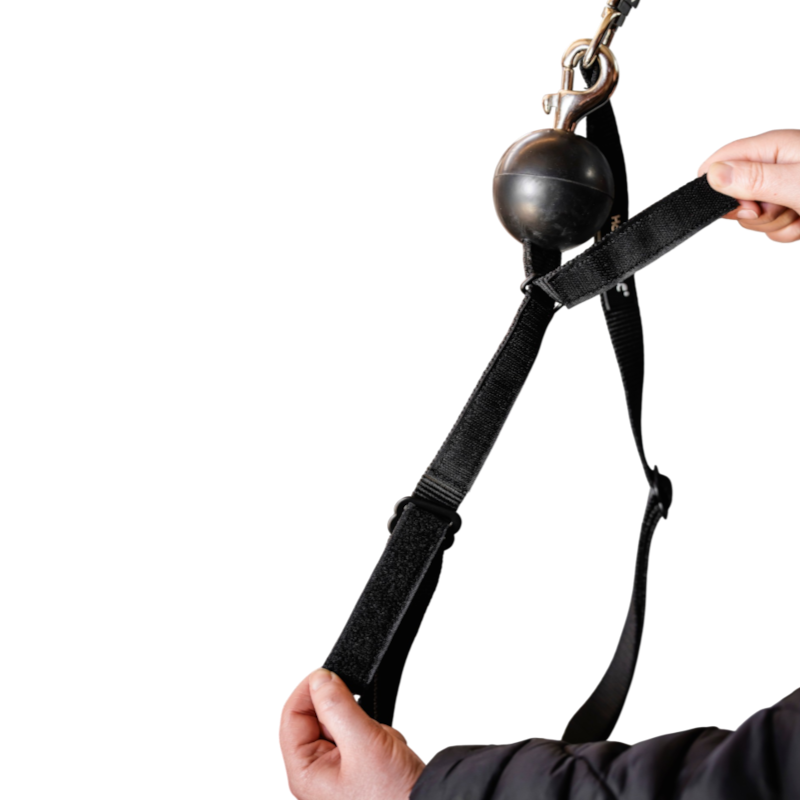Horseware - Attaches de sécurité Quiet Drop noir (x2)