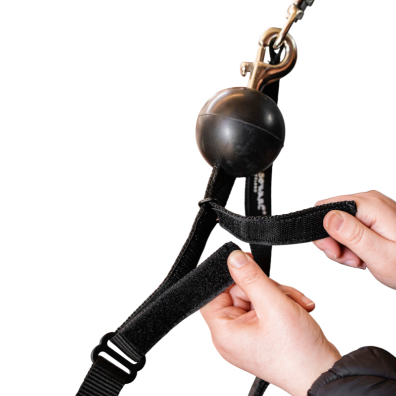Horseware - Attaches de sécurité Quiet Drop noir (x2)