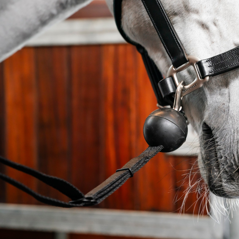 Horseware - Attaches de sécurité Quiet Drop noir (x2)