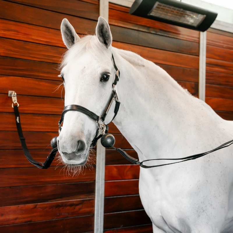 Horseware - Attaches de sécurité Quiet Drop noir (x2)