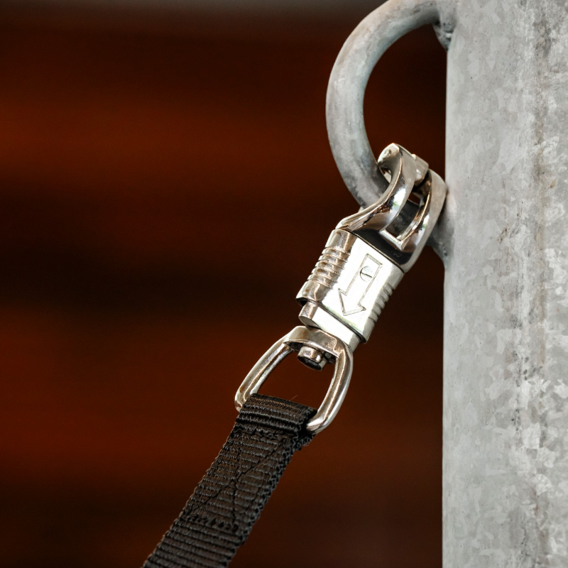 Horseware - Attaches de sécurité Quiet Drop noir (x2)