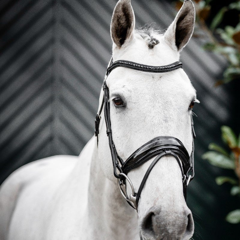 Horseware - Bridon Diamante Flash noir/ noir | - Ohlala