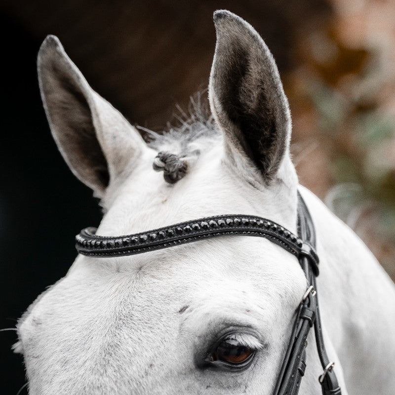 Horseware - Bridon Diamante Flash noir/ noir | - Ohlala