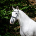 Horseware - Dressuurhoofdstel Flash zwart | - Ohlala