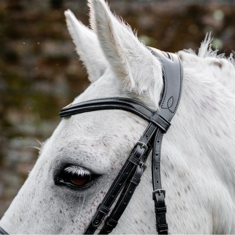 Horseware - Bridon Dressage Pony Flash noir | - Ohlala