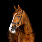 Horseware - Micklem Competition hoofdstel donker havana | - Ohlala