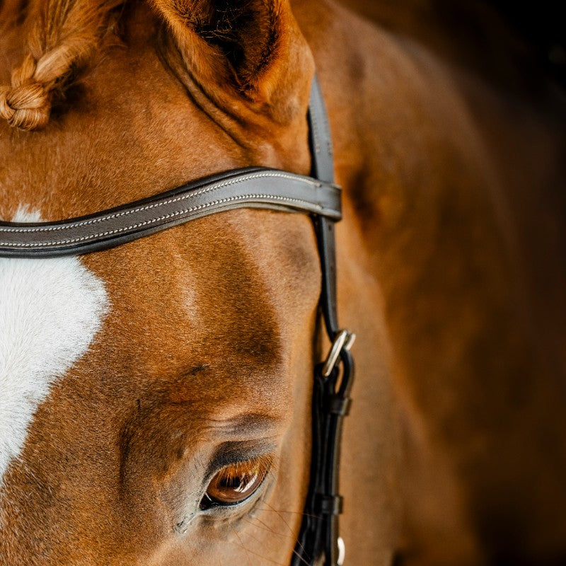 Horseware - Bridon Micklem Competition dark havane | - Ohlala