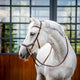 Horseware - Bridon Micklem Deluxe Competition dark havane | - Ohlala