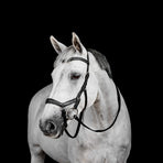 Horseware - Micklem Deluxe Competition hoofdstel zwart | - Ohlala