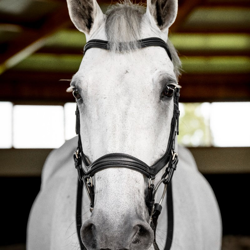 Horseware - Bridon Micklem Deluxe Competition noir | - Ohlala