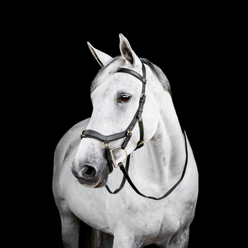 Horseware - Bridon Micklem Multi noir | - Ohlala
