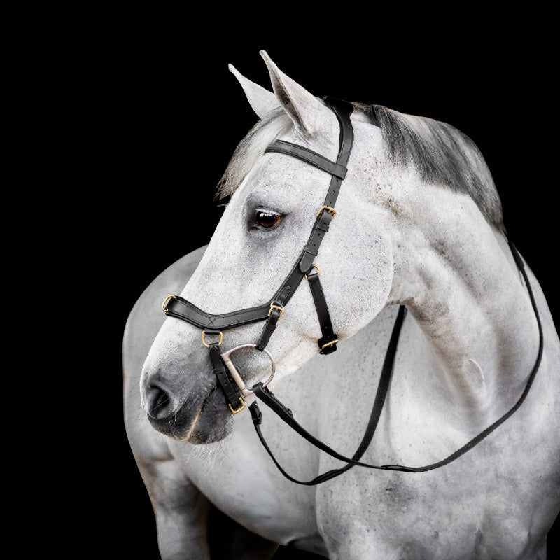 Horseware - Bridon Micklem Multi noir | - Ohlala