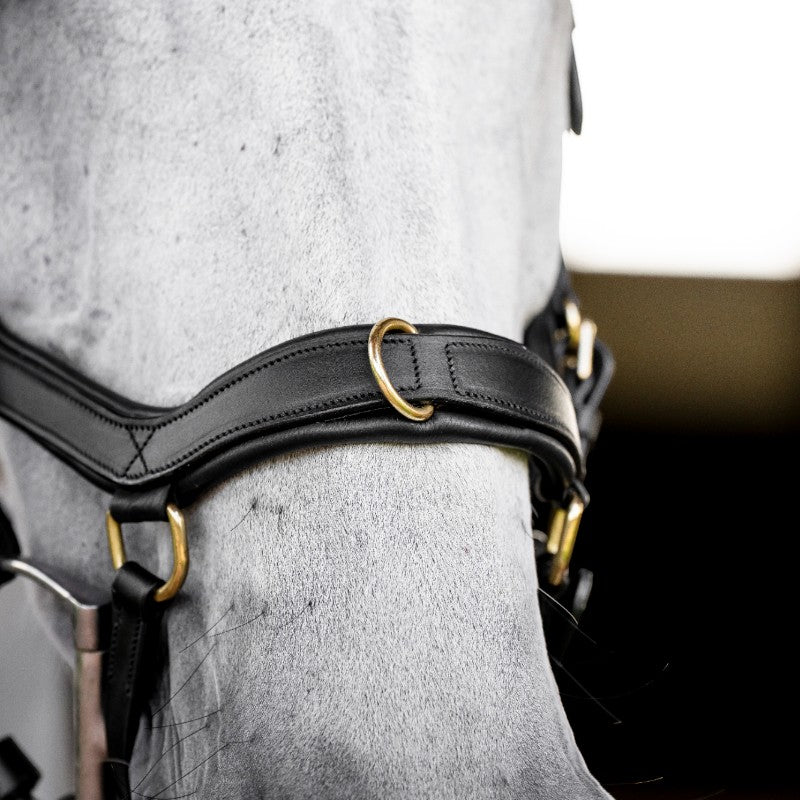 Horseware - Bridon Micklem Multi noir | - Ohlala