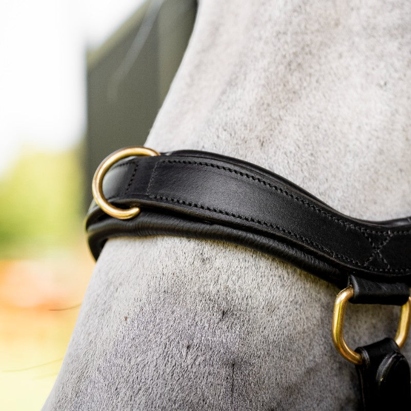 Horseware - Bridon Micklem Multi noir | - Ohlala