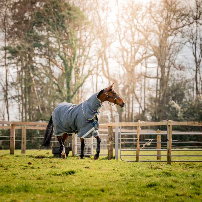 Horseware - Couverture d'extérieur Amigo Bravo 12 Plus shadow/ marine/ rose 0g | - Ohlala